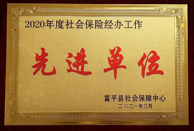 富平公司榮獲富平縣“社會(huì)保險(xiǎn)工作先進(jìn)單位”