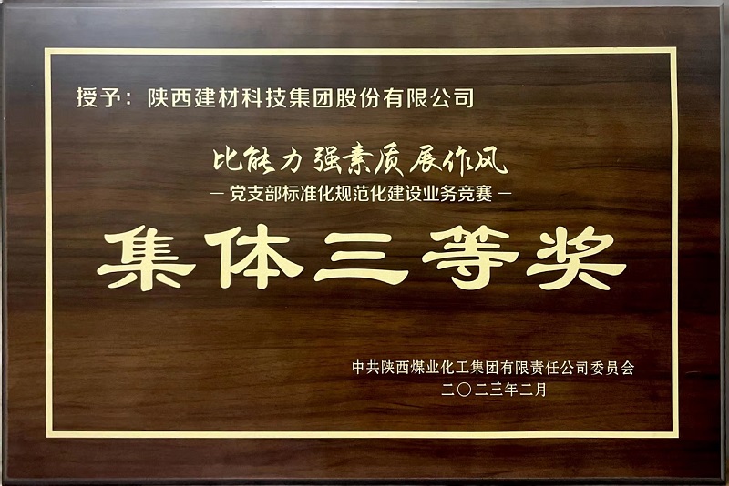 陜西建材科技公司榮獲“黨支部標(biāo)準(zhǔn)化規(guī)范化建設(shè)”類(lèi)競(jìng)賽三等獎(jiǎng)及“優(yōu)秀組織獎(jiǎng)”