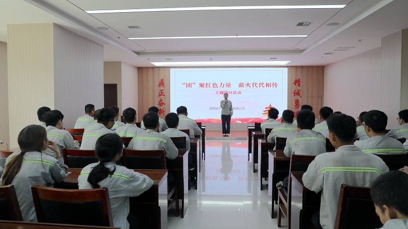 共話青春 寄語未來——富平公司開展“‘團’聚紅色力量 薪火代代相傳”主題團日活動